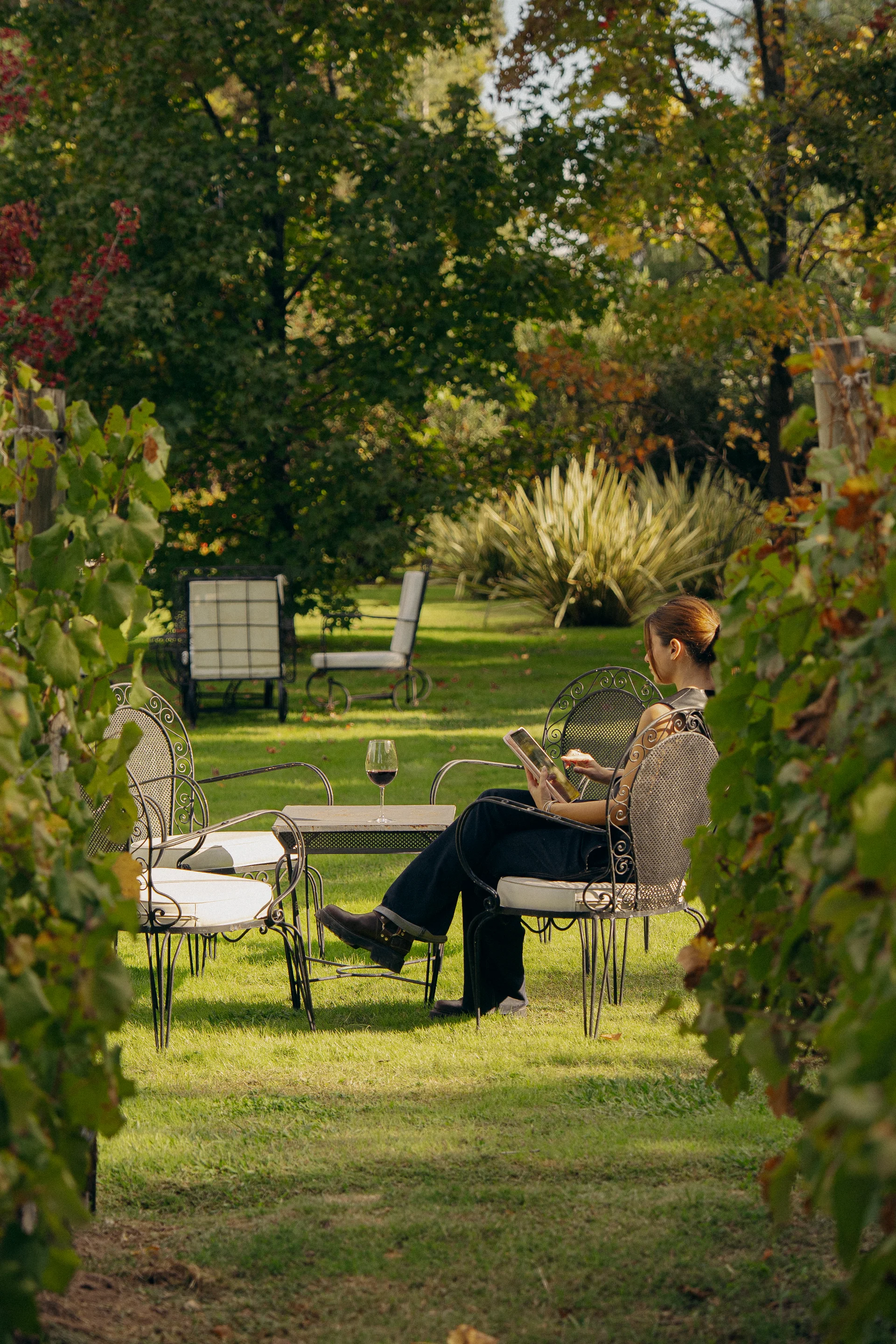 Gardens and vineyard